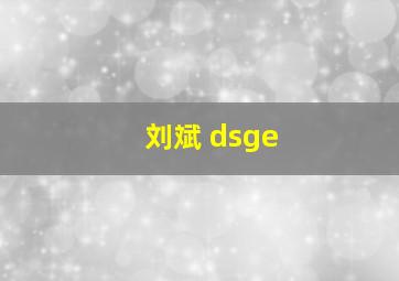 刘斌 dsge